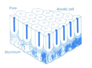 Anodized_Coating-Cross-sect